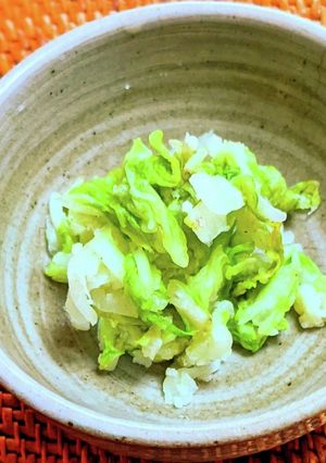 ニンニク香る冬菜の漬物-レシピのメイン写真
