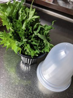 絶対おすすめの大葉の保存-レシピのメイン写真