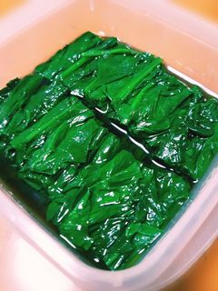 作り置き◎簡単◎ほうれん草のおひたし-レシピのメイン写真