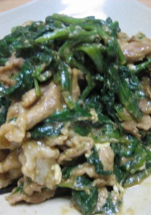 豚肉とほうれん草の甜面醤炒め-レシピのメイン写真