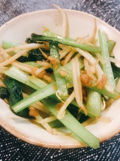 小松菜ともやしの炒め物-レシピのメイン写真