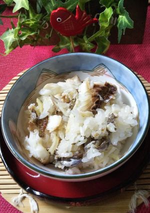 お刺身用の真鯛を使いで簡単鯛めしを作ろう-レシピのメイン写真