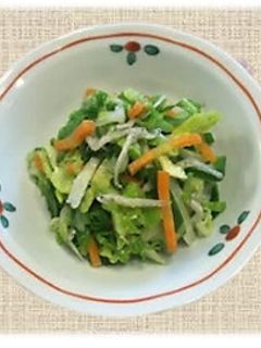春キャベツの酢の物-レシピのメイン写真