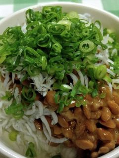 納豆ご飯(しらす干し、オニスラ、万ねぎ)-レシピのメイン写真