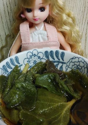 リカちゃん♡ユキノシタ*めんつゆおひたし-レシピのメイン写真