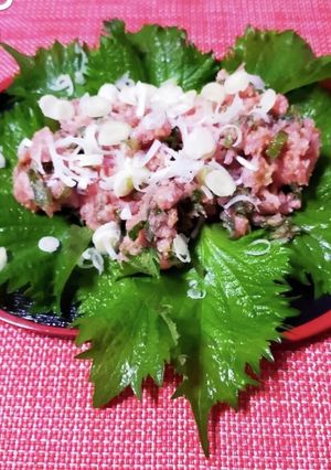 醤油皿ナシのネギトロわさび醤油-レシピのメイン写真