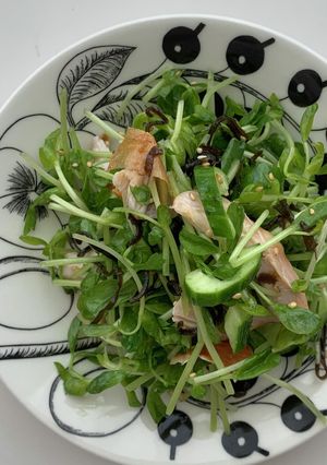 塩昆布と胡瓜、豆苗とチキンの胡麻サラダ-レシピのメイン写真