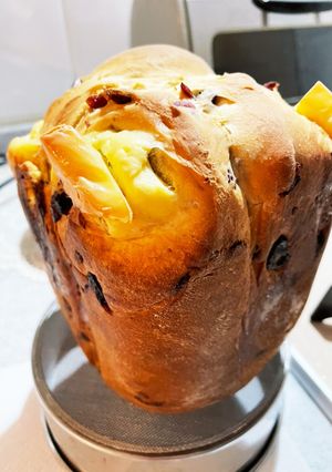 クリームチーズパン-レシピのメイン写真