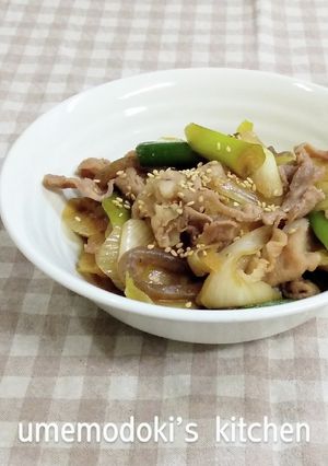 豚肉と葱と糸こんの甘辛煮-レシピのメイン写真