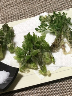 山菜天ぷら たらの芽•こしあぶら•セリ根-レシピのメイン写真