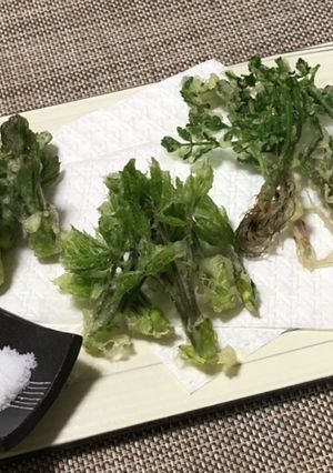 山菜天ぷら　たらの芽•こしあぶら•セリ根-レシピのメイン写真