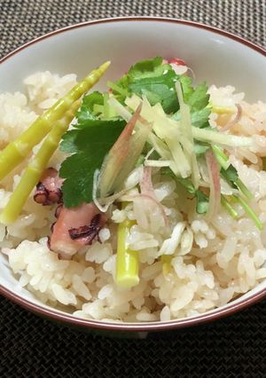 笹竹と蛸の炊き込みご飯-レシピのメイン写真