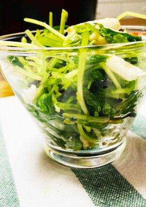 豆苗と長芋の塩昆布あえ-レシピのメイン写真