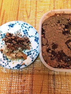 豆腐ヨーグルトでティラミス-レシピのメイン写真