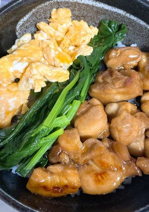 焼き鳥の三色丼-レシピのメイン写真