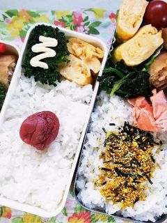 春巻き&手羽唐揚げ弁当(4.22)-レシピのメイン写真