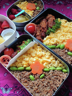 ❜21/4 /22 そぼろ弁当-レシピのメイン写真