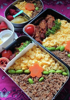 ❜21/4 /22　そぼろ弁当-レシピのメイン写真