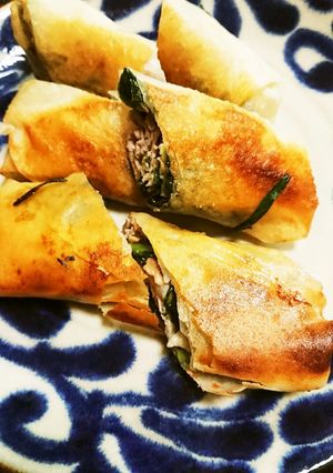 基本の美味しい春巻き-レシピのメイン写真