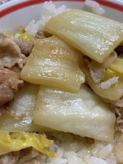 鶏肉とゴロゴロ玉ねぎのガタバタ炒め-レシピのメイン写真