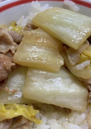 鶏肉とゴロゴロ玉ねぎのガタバタ炒め-レシピのメイン写真