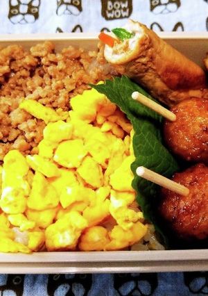 男子高校生お弁当（15）そぼろごはんⅡ-レシピのメイン写真