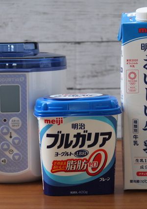 ブルガリアヨーグルト脂肪0でヨーグルト-レシピのメイン写真