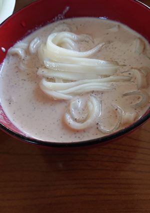 濃厚くるみ汁うどん-レシピのメイン写真