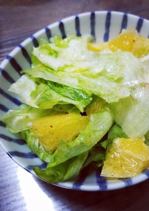河内晩柑とレタスのさっぱり塩サラダ-レシピのメイン写真