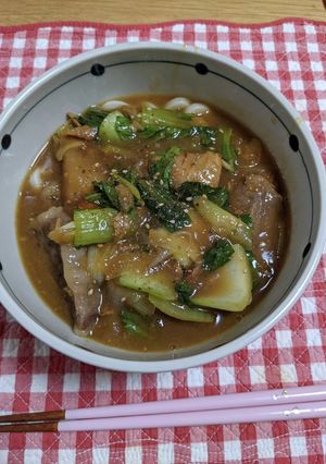残り物チキンカレーでカレーうどん-レシピのメイン写真
