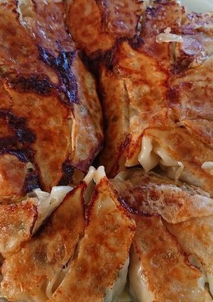 ヒトビロギョーザ-レシピのメイン写真