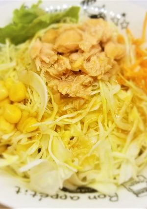 糸島うめ液茶漬け　さっぱりサラダ-レシピのメイン写真