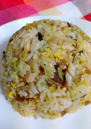 焼き肉で残ったお肉とネギのチャーハン-レシピのメイン写真