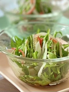 柚子胡椒香る*新玉ねぎと水菜のサラダ-レシピのメイン写真