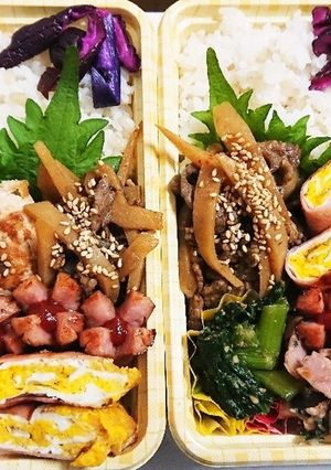 【夫婦弁当31】つくねと金平とハムエッグ-レシピのメイン写真