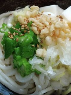 オクラと長芋のぶっかけうどん-レシピのメイン写真