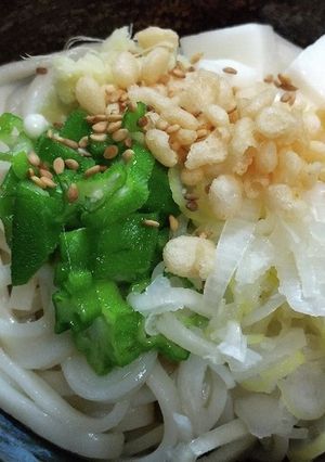オクラと長芋のぶっかけうどん-レシピのメイン写真