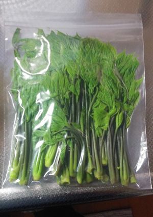 こしあぶら冷凍-レシピのメイン写真