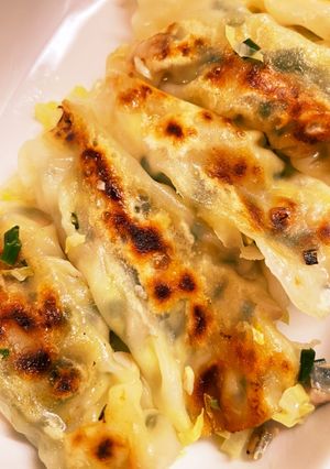 野菜だけの餃子-レシピのメイン写真