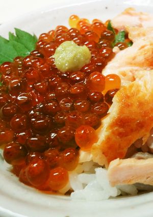 美味しい＊いくらと秋鮭の親子丼-レシピのメイン写真
