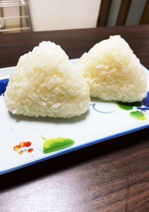 縄文おにぎり（縄文時代のような簡易さ）-レシピのメイン写真