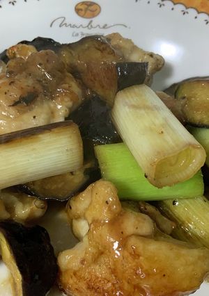 鶏肉と長ネギとナスのネギマナス炒め-レシピのメイン写真