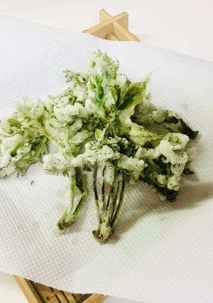 タラの芽 山菜 天ぷら 膵炎 簡単 制限-レシピのメイン写真
