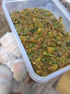 春 ふきのとう ふき味噌-レシピのメイン写真