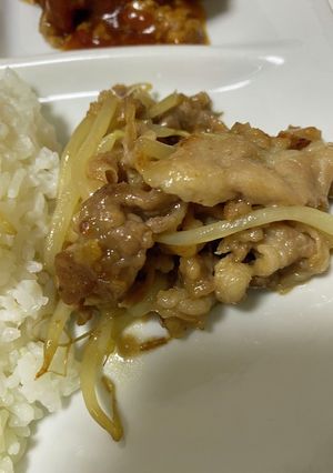 豚コマもやしのオイスターソース炒め-レシピのメイン写真