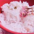 春の香り!さくらご飯