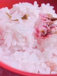 春の香り!さくらご飯-レシピのメイン写真