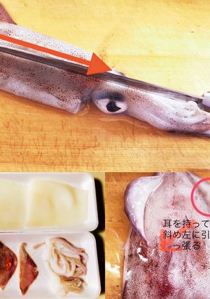 イカの捌き方皮の剥き方ᔦ๑° ꒳ °๑ᔨ-レシピのメイン写真
