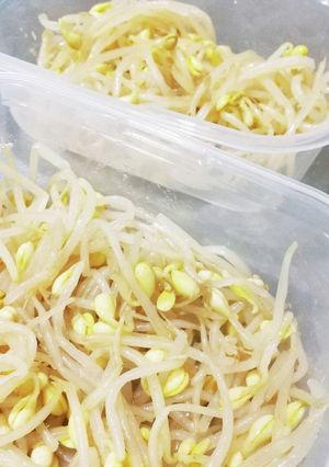 懐かしい母味の簡単豆もやし-レシピのメイン写真