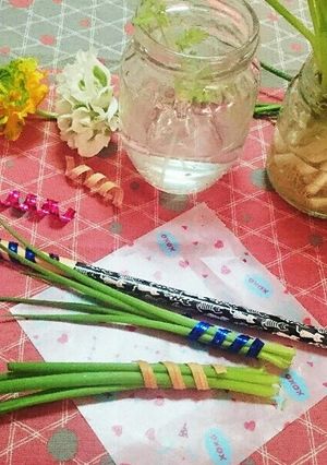 再生ねぎ❁⃘*｡束ねてトッピング°ஐ.*-レシピのメイン写真